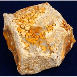 Tambo Gold Mine  (61133)