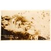 Image 1 : Pack Train Real Photo Postcard, Sonora, Mexico  (58595)