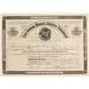 Image 1 : The Burro Burro Mining Company Stock Certificate  (62941)