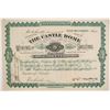 Image 1 : Castle Dome Mining and Smelting Company Stock - Green Version  (86779)