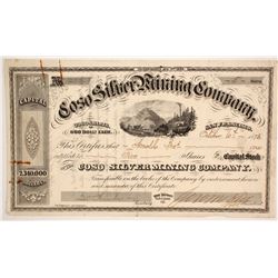 Coso Silver Mining Company Stock  (86711)