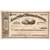 Image 1 : Coso Silver Mining Company Stock  (86711)