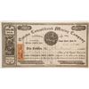Image 1 : Eureka Consolidated Mining Company Stock  (86043)