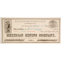 Meridian Mining Company  (86713)