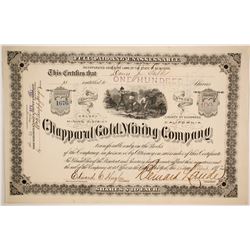 Chapparal Gold Mining Company Stock  (86167)