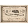 Image 1 : Chapparal Gold Mining Company Stock  (86167)