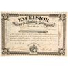 Image 1 : Excelsior Water & Mining Company Stock  (88109)