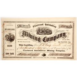 Fleetwood Quicksilver Mining Company  (88106)