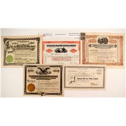 5 Bullfrog stock  (88410)