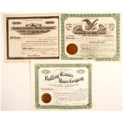 Bullfrog Mining stock  (88413)