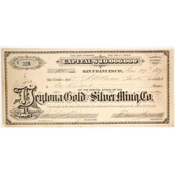 Teyona Gold & Silver Mining Co  (86529)