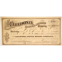 Caledonia Silver Mining Co  (86518)