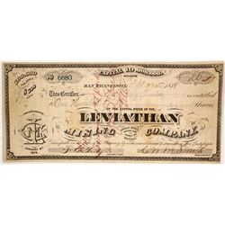 Leviathan Mining Co  (86535)