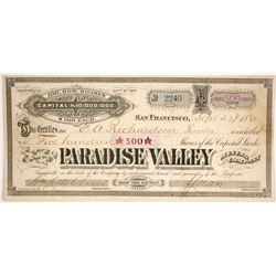 Paradise Valley Mining Company  (86530)