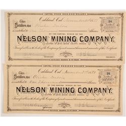 Nelson Mining Company Stocks  (86164)