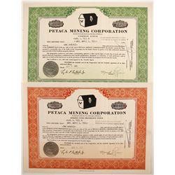 Petace Mining Corp  (87217)