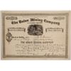 Image 1 : Union Mining Company of Wyoming Territory Stock  (88034)