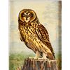 Image 2 : Oil Paintings (2 Still Life)  (88527)