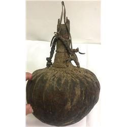 African Water Gourd  (87406)