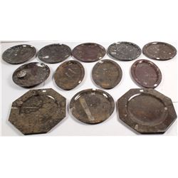 Group of Fossil Plates  (56838)