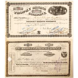 2 1880's Mining Stocks  (65015)