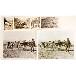 Prospector Photographs  (63631)