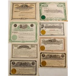 Tonopah Mining Stocks (8 count)  (57851)