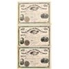 Image 1 : Niagara Mining and Smelting Stocks (3 count)  (58916)