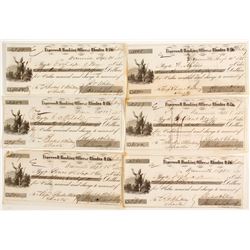 Rhodes & Co Checks (6) FW Blake  (87454)