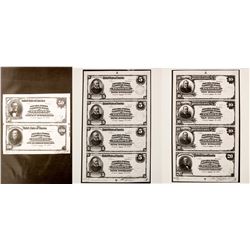Banknote Specimens Photo  (76651)
