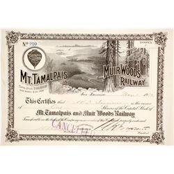 Mt. Tam and Muir Woods RY stock  (88853)