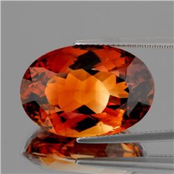 Natural Intense AAA Champagne Imperial Topaz 19x13 MM