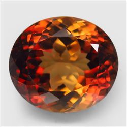 Natural AAA Champagne Imperial Topaz 14x12 MM - FL