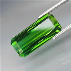 Natural Top Green Tourmaline 3.73 Ct