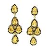 Image 1 : Natural Yellow Citrine Black Spinel Earrings