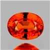 Image 1 : NATURAL REDDISH ORANGE SAPPHIRE 1.35 Ct  - FL
