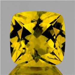 Natural Golden Yellow Beryl (Heliodoor) 8.00 MM - FL