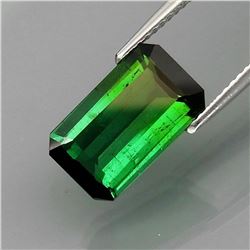 Natural Top Green Tourmaline 4.00 Ct