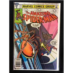 SPIDER-MAN #213 (MARVEL COMICS)