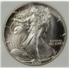 Image 2 : 1987 AMERICAN SILVER EAGLE NGP