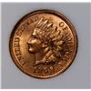 Image 2 : 1898 INDIAN CENT NGP
