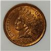 Image 2 : 1899 INDIAN CENT NGP