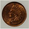 Image 2 : 1906 INDIAN CENT