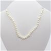 Image 1 : 114) STERLING SILVER FRESHWATER PEARL NECKLACE