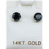 Image 1 : 12) 14K WHITE GOLD BLACK DIAMOND EARRINGS
