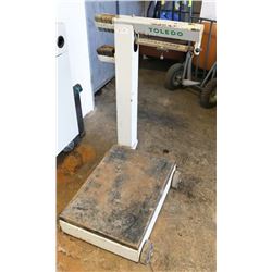 TOLEDO TENDER SCALE WITH WEIGHTS.