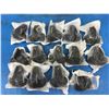 Image 1 : (14) Sick ZL3-P1400S04P10 Dematic K0402-95AAA Photoelectric Sensors