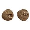Image 1 : 1640 countermark on a Charles VIII Blanc a la Couronne, Ciani 812, Duplessy 591a.  Struck 1491