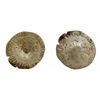 Image 1 : 1640 countermark on a 1593-T [Nantes Mint] Charles X Douzain aux Deux C, 3rd type, Ciani Unlisted, D