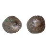 Image 1 : 1640 countermark on a 1596 [Avignon Mint] Papal Douzain of Clement VIII, Berman 1516